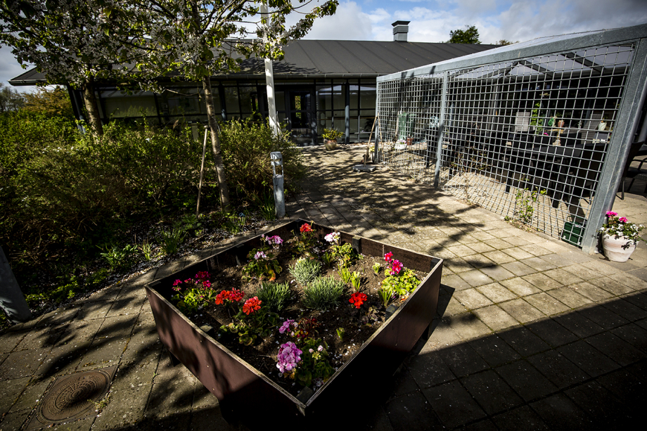 Gårdhaven Trollehøj Plejecenter