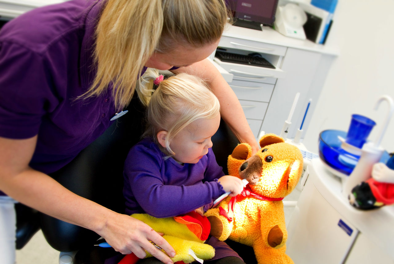 Barn ved tandlægen, børster tænder på bamse.