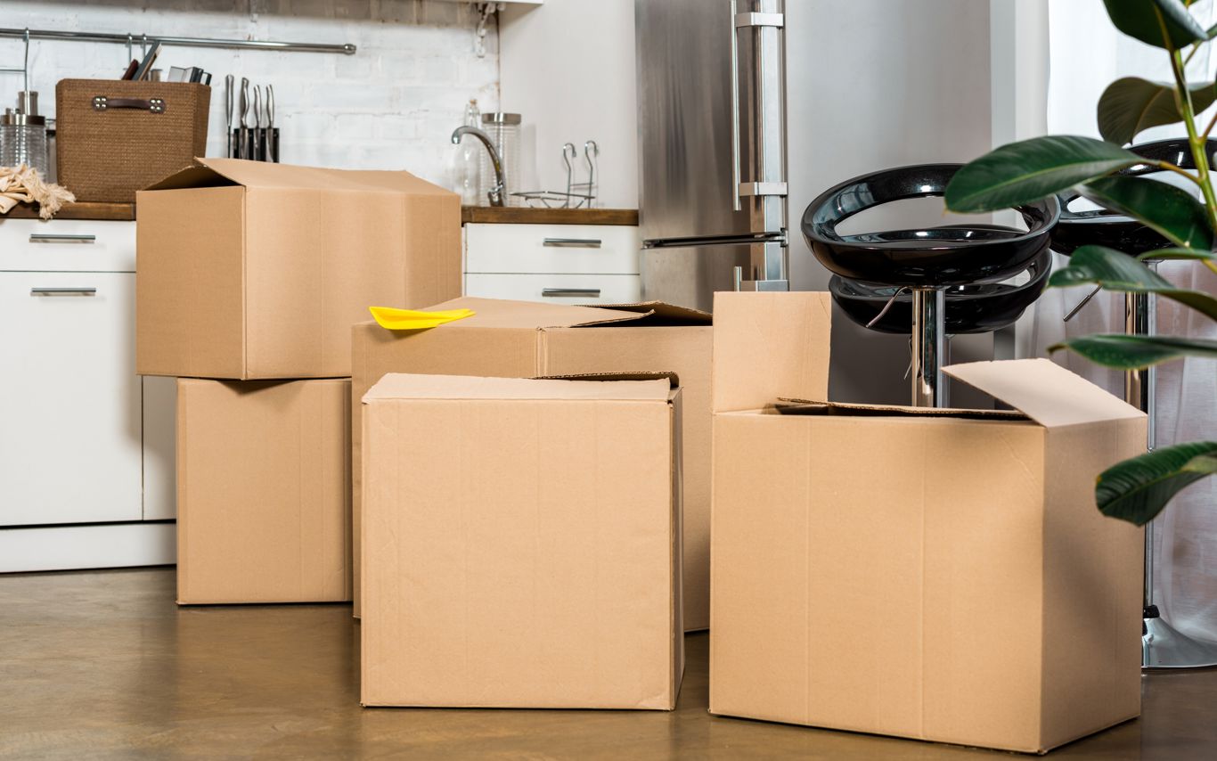 Billede af flyttekasserod